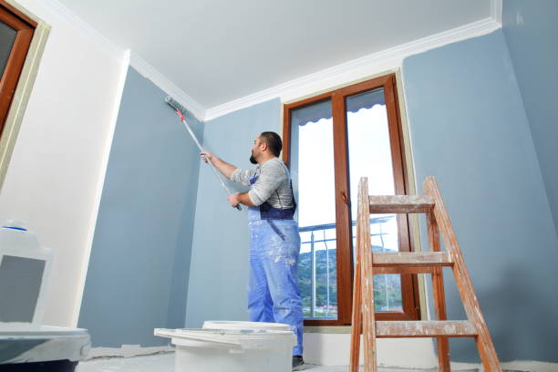 Best Black Mold Removal  in Laurel Lake, NJ