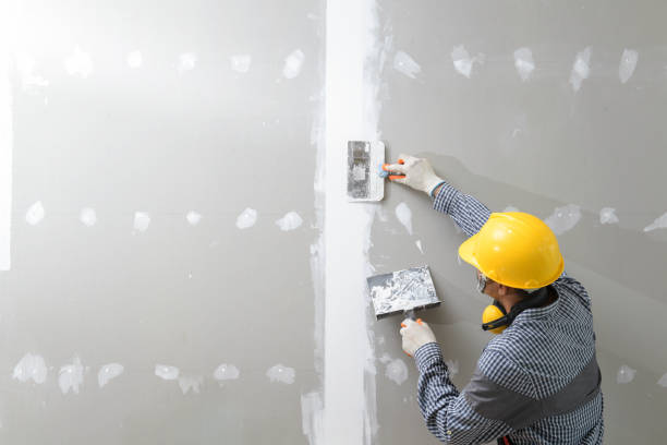 Best Dehumidification Services  in Laurel Lake, NJ