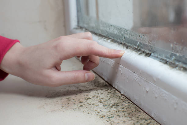 Best Indoor Air Quality Assessment  in Laurel Lake, NJ