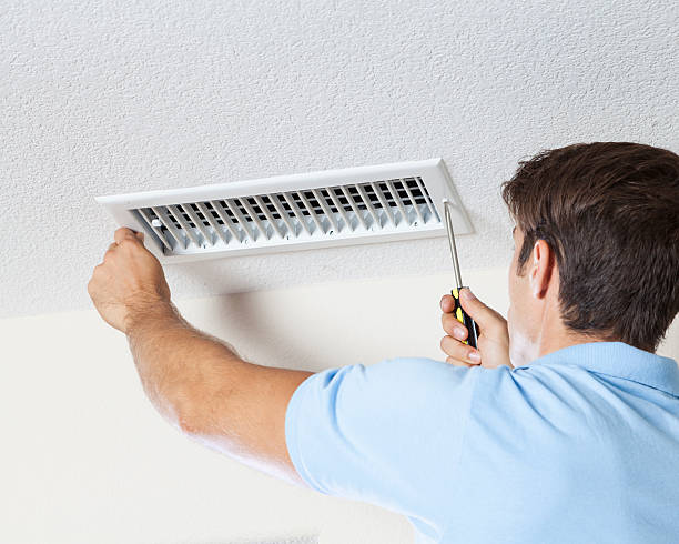 Best Basement Mold Removal  in Laurel Lake, NJ