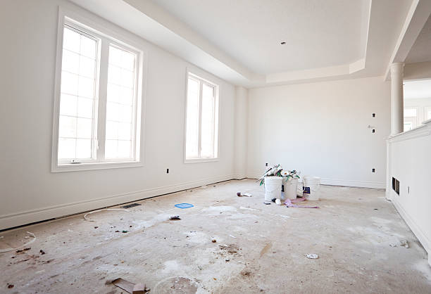 Reliable Laurel Lake, NJ Mold Removal Solutions