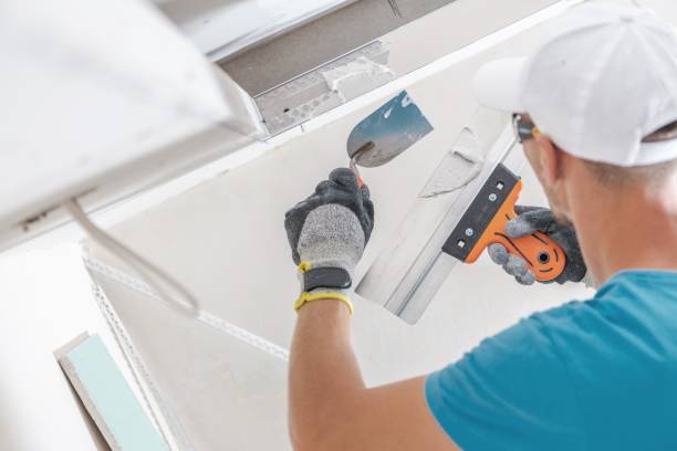 Best Mold Documentation for Insurance Claims  in Laurel Lake, NJ